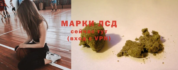 прущие грибы Балабаново