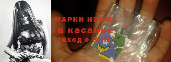 прущие грибы Балабаново