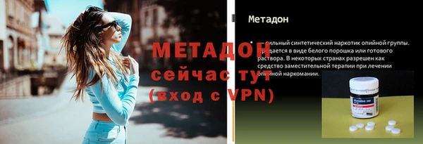 прущие грибы Балабаново