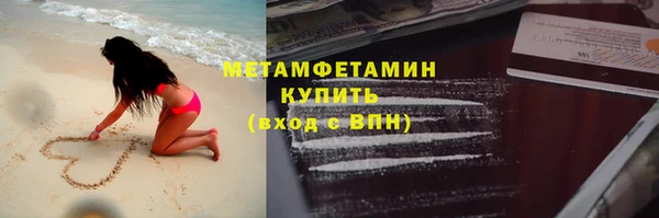 прущие грибы Балабаново