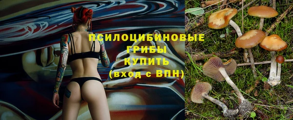 прущие грибы Балабаново