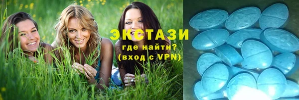 прущие грибы Балабаново