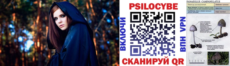 Псилоцибиновые грибы Psilocybine cubensis  mega ONION  Кувшиново 